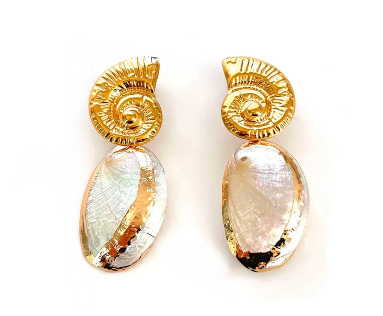 Nautilus Shell Earrings